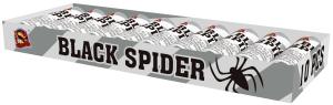 Black Spider 10 pieces